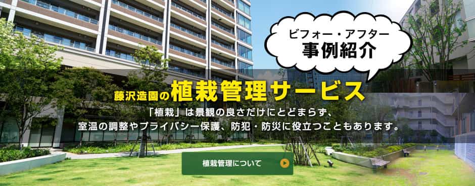横浜の造園会社のマンション植栽管理サービス